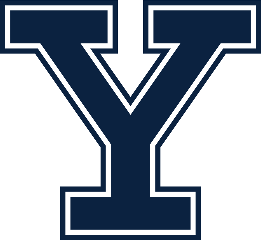 Yale Bulldogs 2019-Pres Primary Logo iron on transfers for clothing
